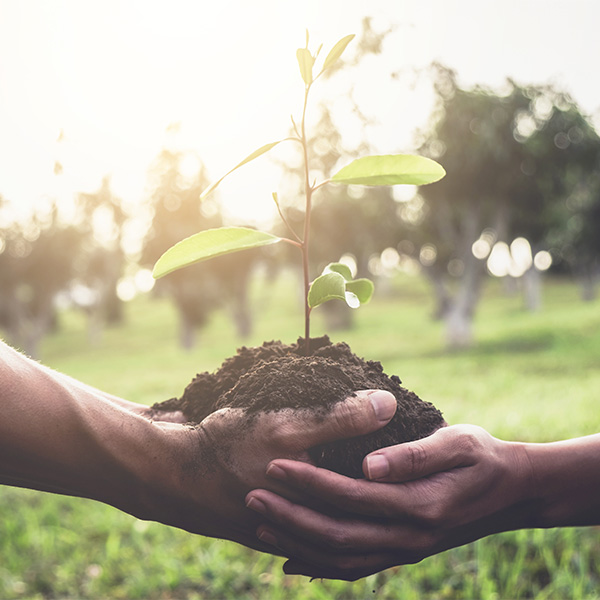 L'&eacute;cole de la transition &eacute;cologique