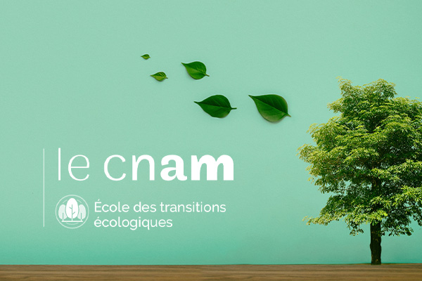 L'&eacute;cole des transitions &eacute;cologiques
